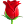 rosa 3